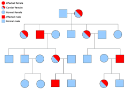 Sex Linkage Wikiwand