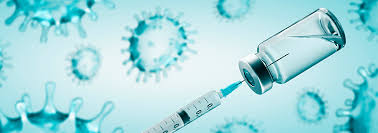 Vaccine appointment scheduled via provincial booking system: Covid 19 Vaccines Kfl A Public Health