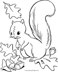 My instant download printable comes with six different coloring pages to keep your little ones busy. Autumn Coloring Pages Sheets And Pictures 10 Squirrel Coloring Page Fall Coloring Pictures Fall Coloring Sheets