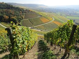 Diese tradition führen wir fort und laden sie ein, auf sieben teilstrecken zu erfahren, wo die stadtgrenze von würzburg verläuft. Dav Eichstatt