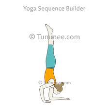 We did not find results for: Peacock Pose Yoga Mayurasana Yoga Sequences Benefits Variations And Sanskrit Pronunciation Tummee Com