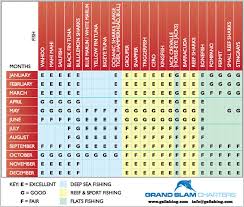 Turks And Caicos Fishing Charters Providenciales Provo
