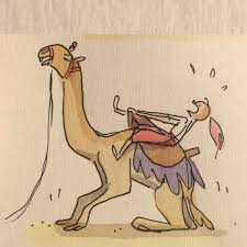 Learn how to draw a camel in less than 3 minutes! Natalie Nourigat On Twitter Camels Are So Much Bigger Than I Thought They Were They Stand Up And Lay Down With The Front Legs First And I Was Holding On For Dear