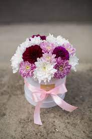 Pink Flower Dahlia Flower Mini Flower Box Flower Boxes Pink Flowers Dahlia Flower