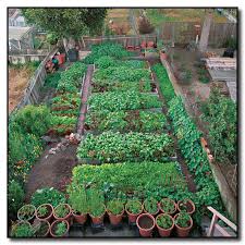 Vegetable Garden Horticulture Techniques For New And Advanced Gardeners Simple Backyard Gardening Small Vegetable Gardens Backyard Garden Landscape Backyard Farming