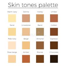 Skin Tones Color Palette Vector Stock Vector Illustration