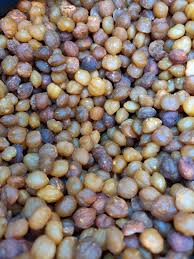 Image result for Ricinodendron