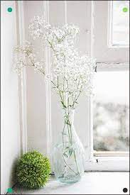 Delicate Gypsophila Another Favorite Of Mine Flower Arrangements Garden Flower Beds Pretty Flowers