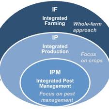 Some pests can be really hard to get rid of especially when they are too many. Pdf Helping Farmers Face The Increasing Complexity Of Decision Making For Crop Protection