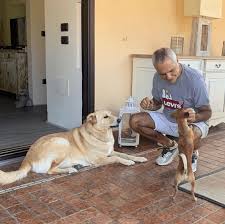 Francesco è stato ritrovato senza vita in un'aiuola della terrazza della. Avete Mai Visto Dove Vive Giorgio Panariello Stile Elegante Foto