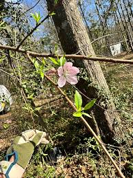 The hard work pays off 👍🏼🇺🇸😎🇺🇸