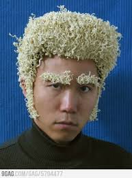 Asian Justin Timberlake Noodle Hair Funny Family Photos Family Humor