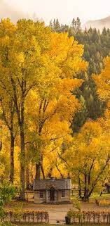 Golden Buttlers Green Shot In Arrowtown Nz New Zealand South Island New Zealand Landscape Arrowtown New Zealand