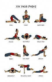 Yin Yoga Pose Chart 11x17 Poster Basic Yoga Poses Yin
