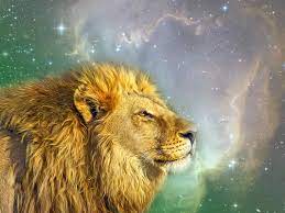 Your leo man is into you when he brags with his accomplishments and wants to sort all your problems out. 7 Signs That Show A Leo Man Likes You