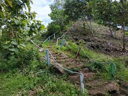 Jalur masuk ptn yang satu ini memang menjadi pilihan mayoritas pelajar karena berbagai alasan. Serunya Bertualang Di Bukit Hud Kebumen Bambang Irwanto Ripto