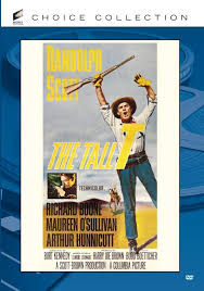 The Tall T : Maureen O'Sullivan, Henry Silva, Arthur Hunnicutt, Skip  Homeier, Richard Boone, Randolph Scott, Budd Boetticher, O'Sullivan,  Maureen, Harry Joe Brown: Movies & TV