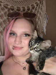 Introduction to ragdoll and highlander cross breed cats