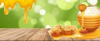 عسل النحل honey photography bee outline bee printables