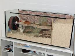Naturnahe Hamstergehege 120x50 Aqua Fur Janosch Hamster Gehege Hamster Hamster Ideen