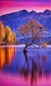 Apart from this difference, nature pictures will always be more surprising than any other type of photo. Pin On Nature Photography Inspiration