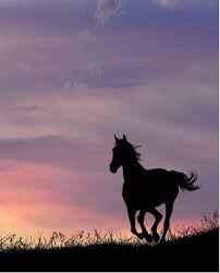 Two Feet Move Your Body Four Feet Move Your Soul Pin On Photography