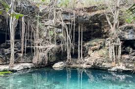 Image result for Galopina