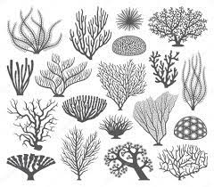 Кораллы рисунок