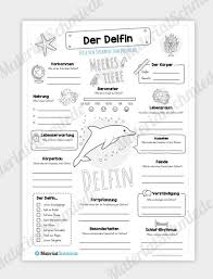 Vergessen sie nicht, lesezeichen zu setzen steckbrief tier englisch vorlage mit ctrl + d (pc) oder command + d (macos). Die 9 Besten Ideen Zu Steckbrief Tiere In 2021 Steckbrief Tiere Steckbrief Brief