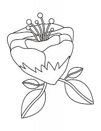 687x920 easy flower coloring pages easy flower coloring pages easy. Fun And Pretty Coloring Pages For Adults With Flowers And Leaves My Kingdom Of Chaos