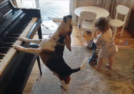 Basset Hound Plays Piano While Toddler Dances Sound On Boing Boing Other than the basset hound i had long ago, beagles are the most howling dogs. basset hound plays piano while toddler