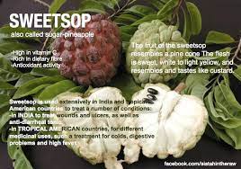Tropical Flavors Fruit Benefits Sugar Apples Tropical Flavor