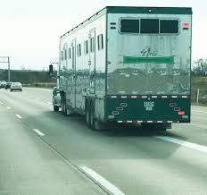 The first story 'oru bolivian diary' stars asif ali, a tribal. Saw This Trailer On The Road Today I Don T Think I D Trust This Company With My Horse Thesopranos