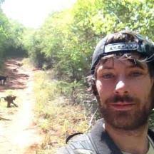 Primate and Predator Project Annual Report 2017