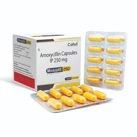 Amoxycillin 250mg Caps at ₹ 2474/box | Pharmaceutical Capsules in Panchkula | ID: 2855696909291