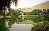 Saudi Arabia's Al Ahsa desert oasis on Unesco's list of World ...