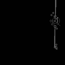 White Line Border