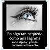 Tristeza quiéreme siempre tristeza ámame siempre que sepan que estoy muriendo de brazos con la tristeza.(bis) musica.com guardar en playlist 1