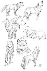 Tierchen In 2020 Animal Sketches Animal Drawings Wolf Sketch