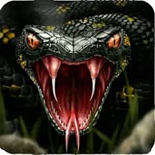 Like all other squamates, snakes are ectothermic, amniote vertebrates covered in overlapping scales. Venom Snake Attack Simulator 3d Amazon De Apps Spiele