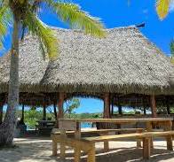 Tropical Thatching Oceania - Palmex distributor