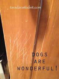 Got Wood Scratched Wood