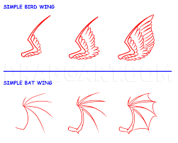 By building a robotic bat wing, brown researchers have uncovered flight. How To Draw Wings Step By Step Drawing Guide By Kingtutorial Dragoart Com
