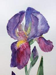 Iris Watercolor Painting Iris Flower Painting Floral Etsy Watercolor Flowers Paintings Iris Painting Iris Art