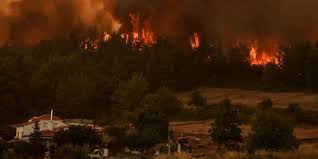 Check spelling or type a new query. Qcpmptudutxplm