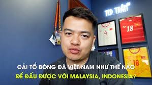 Cải tổ bóng đá Việt Nam như thế nào để ĐT Việt Nam đấu được Malaysia,  Indonesia...