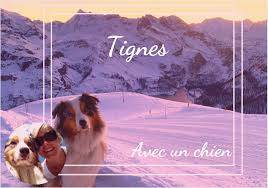 6 years ago 6 years ago. Vacances A Tignes Dans Les Alpes Avec Mon Chien Emmene Ton Chien