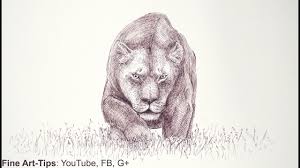 How to draw a lion step by step. How To Draw Draw A Lioness With A Marker Mountain Lion Cougar Jaguar Big Cat Puma Youtube