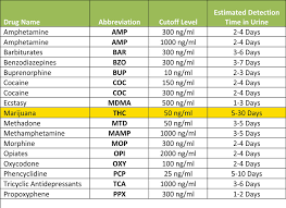 Pee Test Kit 9to5 Info