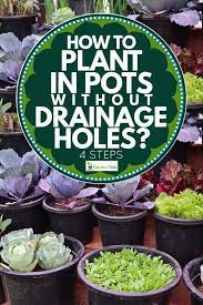 May 16, 2018 · note: How To Plant In Pots Without Drainage Holes 4 Steps Garden Tabs